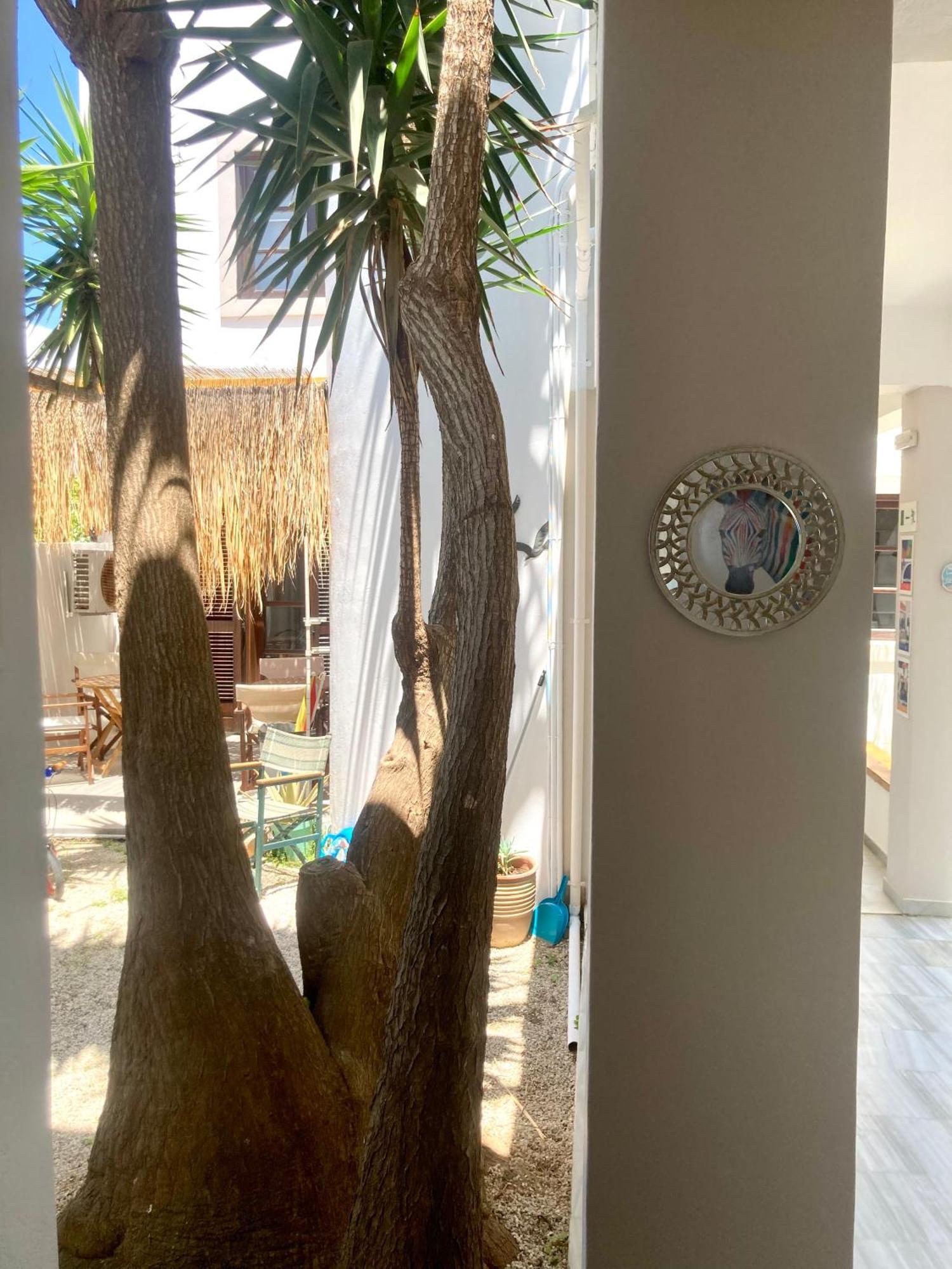 Hotel apartamentowy Tree Of Life Art 2*