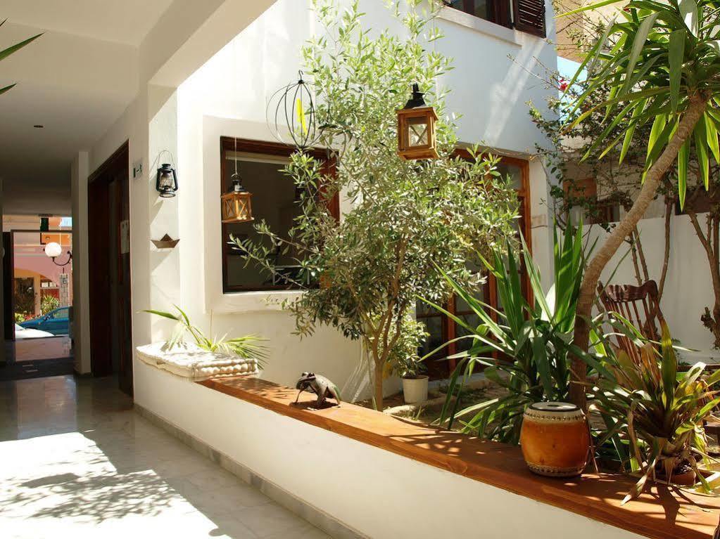 Tree Of Life Art Hotel apartamentowy Agia Marina
